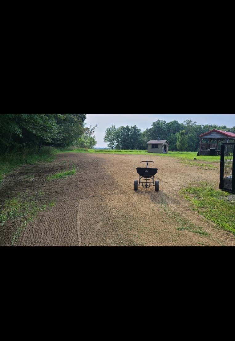Seed & straw